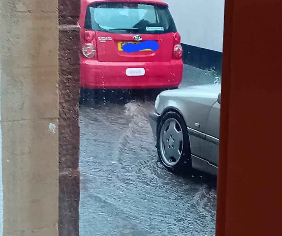 The Duke of Wellington主图