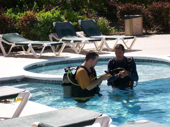 Dive Provo-普罗维登西亚莱斯必去景点