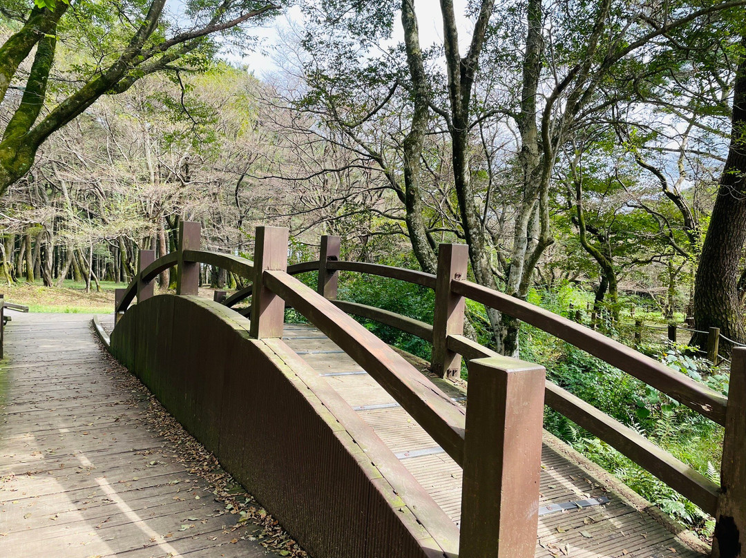 济州寺水自然休养林 -济州必去景点
