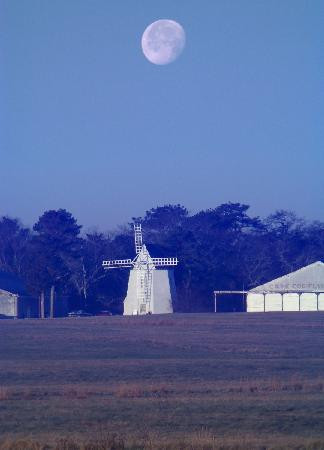 Cape Cod Airfield景点图片