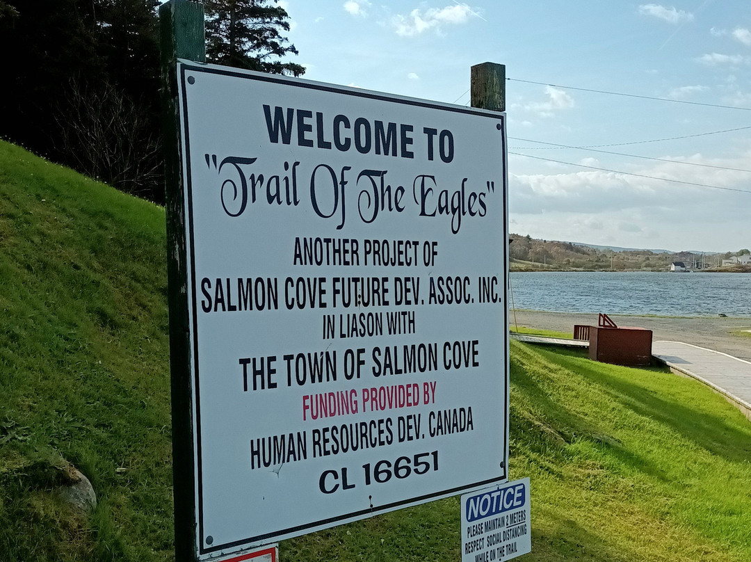 Salmon Cove Sands景点图片