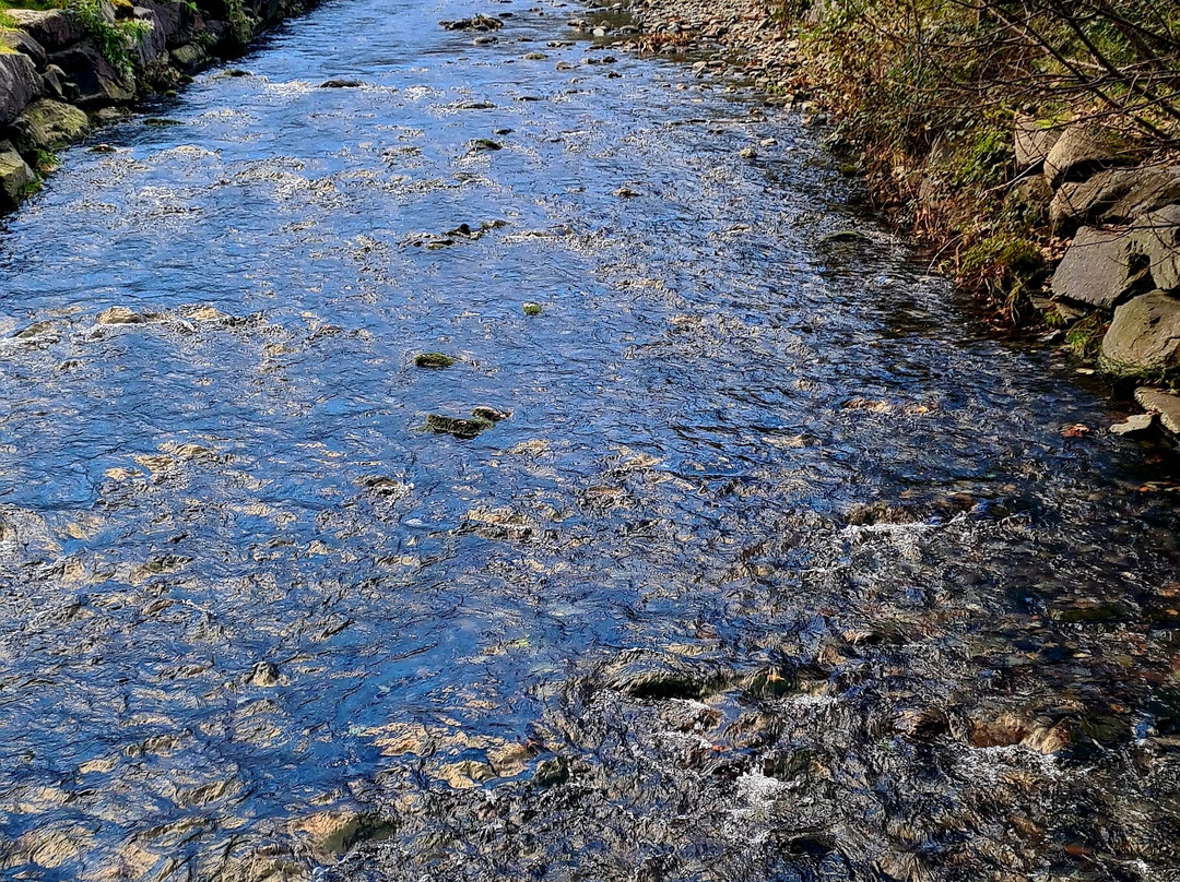 Bluebird Lodge and Waterhead Apartment主图