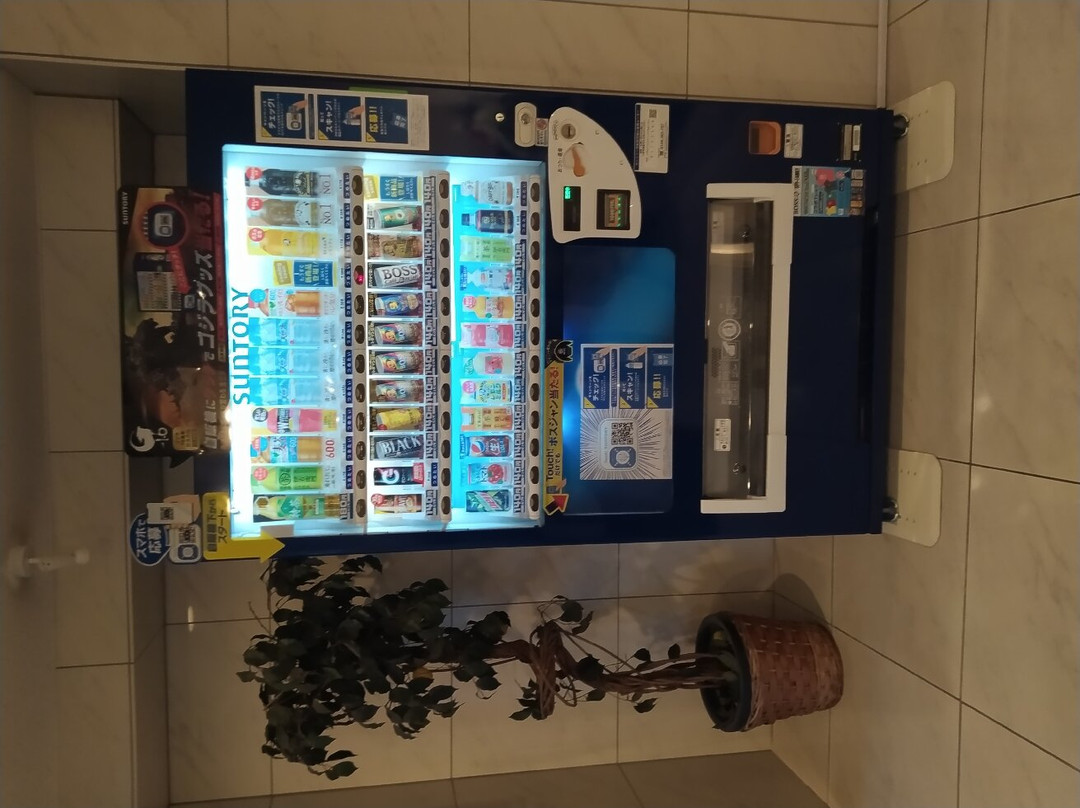 Kochi Ryoma Hotel主图