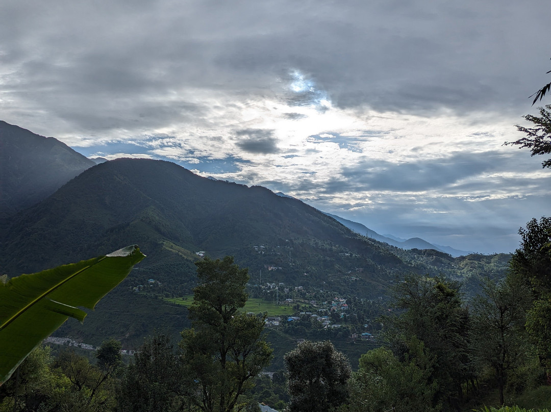 Araiya Palampur主图