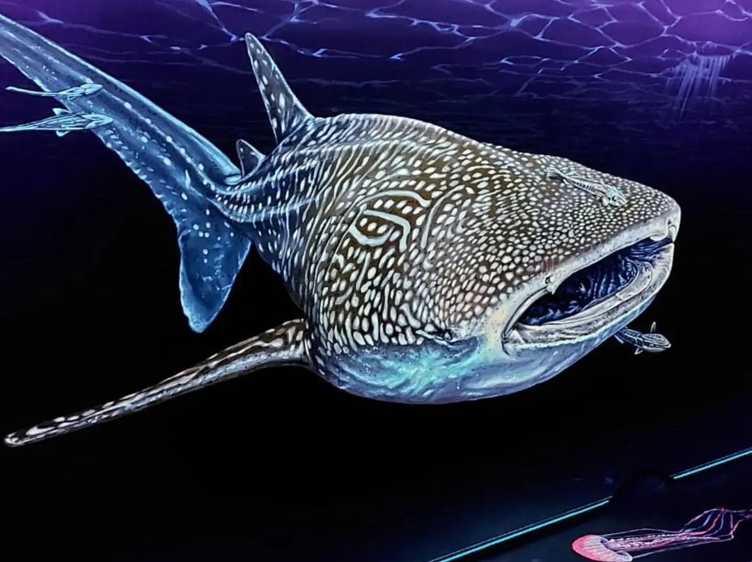 Glowing Rooms 3D Schwarzlicht Minigolf Dresden-德累斯顿必去景点