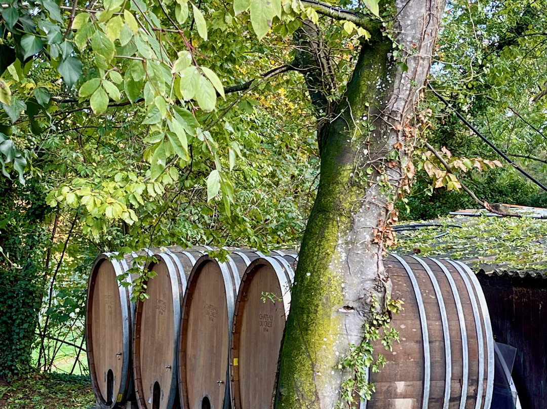 Domaine Château-du-crest-Jussy必去景点