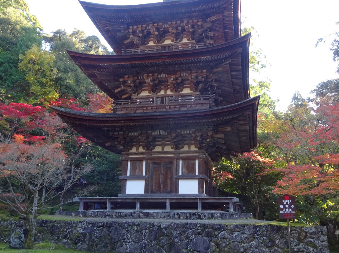 Saimyo-ji Temple-甲良町必去景点