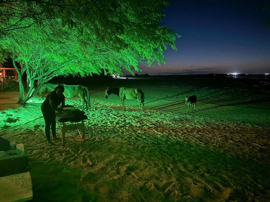 Casa Cactus Praia主图