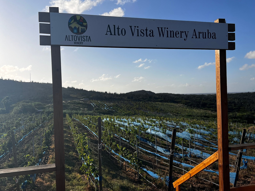 Alto Vista Winery景点图片