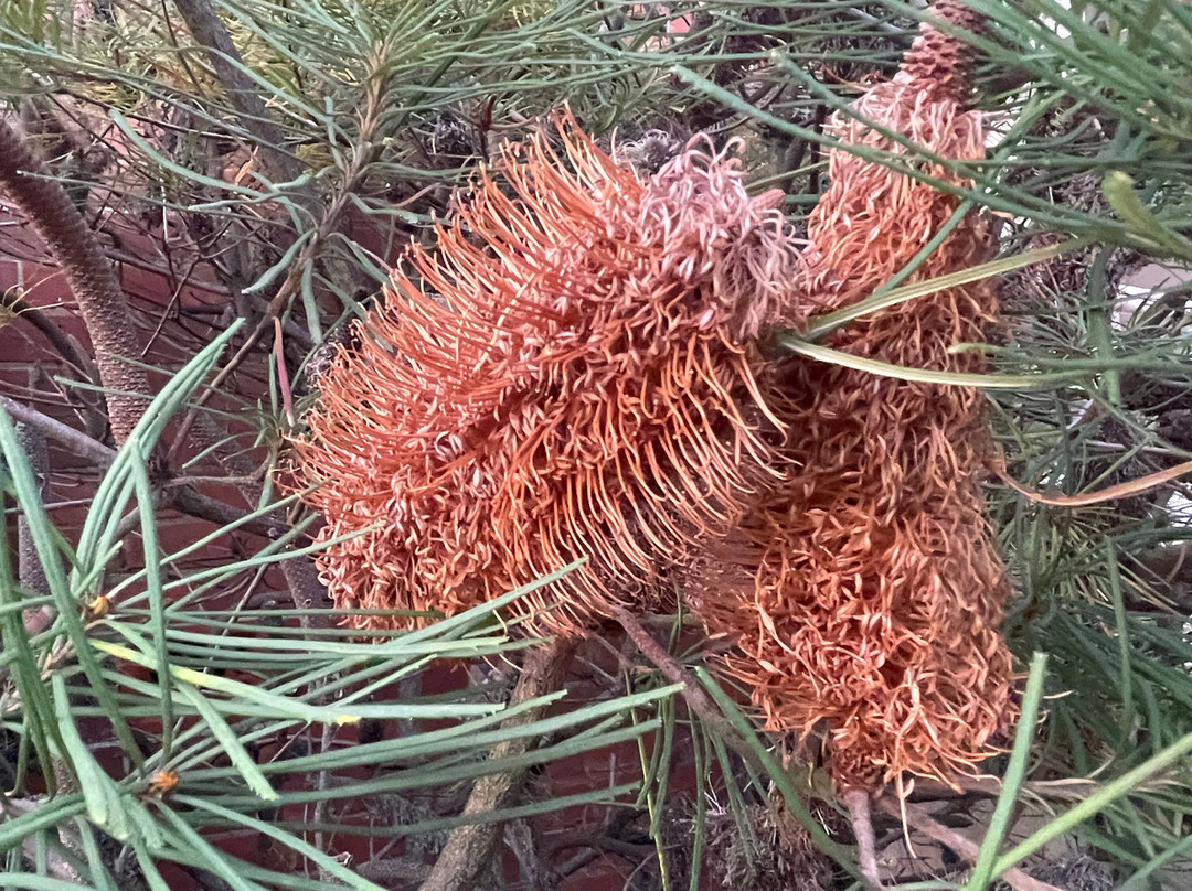 Drouin Uniting Church-Drouin必去景点