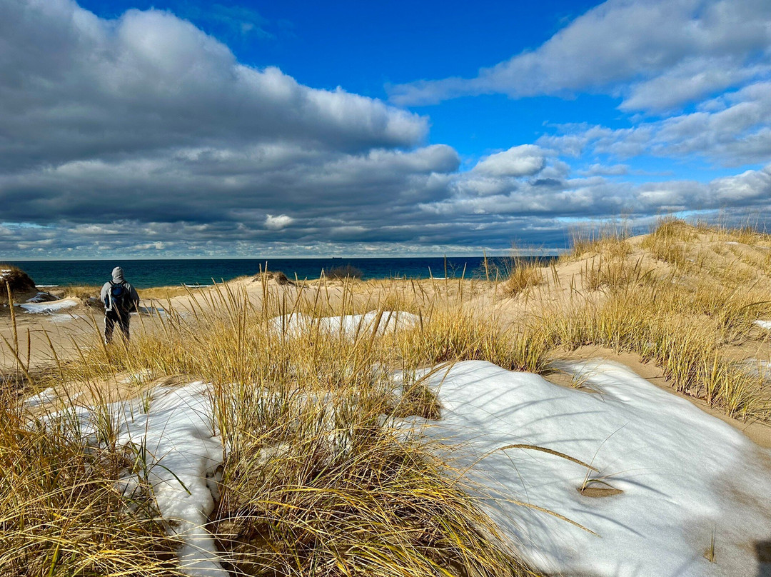 Nordhouse Dunes Wilderness-拉丁顿必去景点