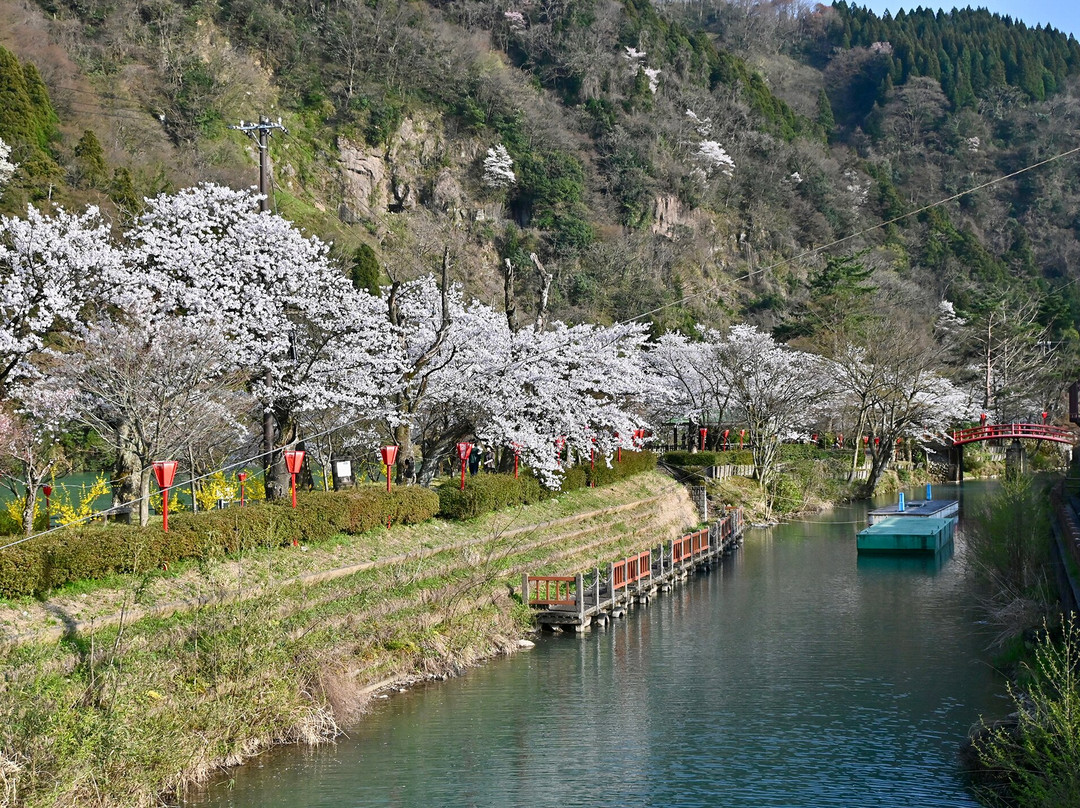 Shogawa Aqua Memorial Park景点图片