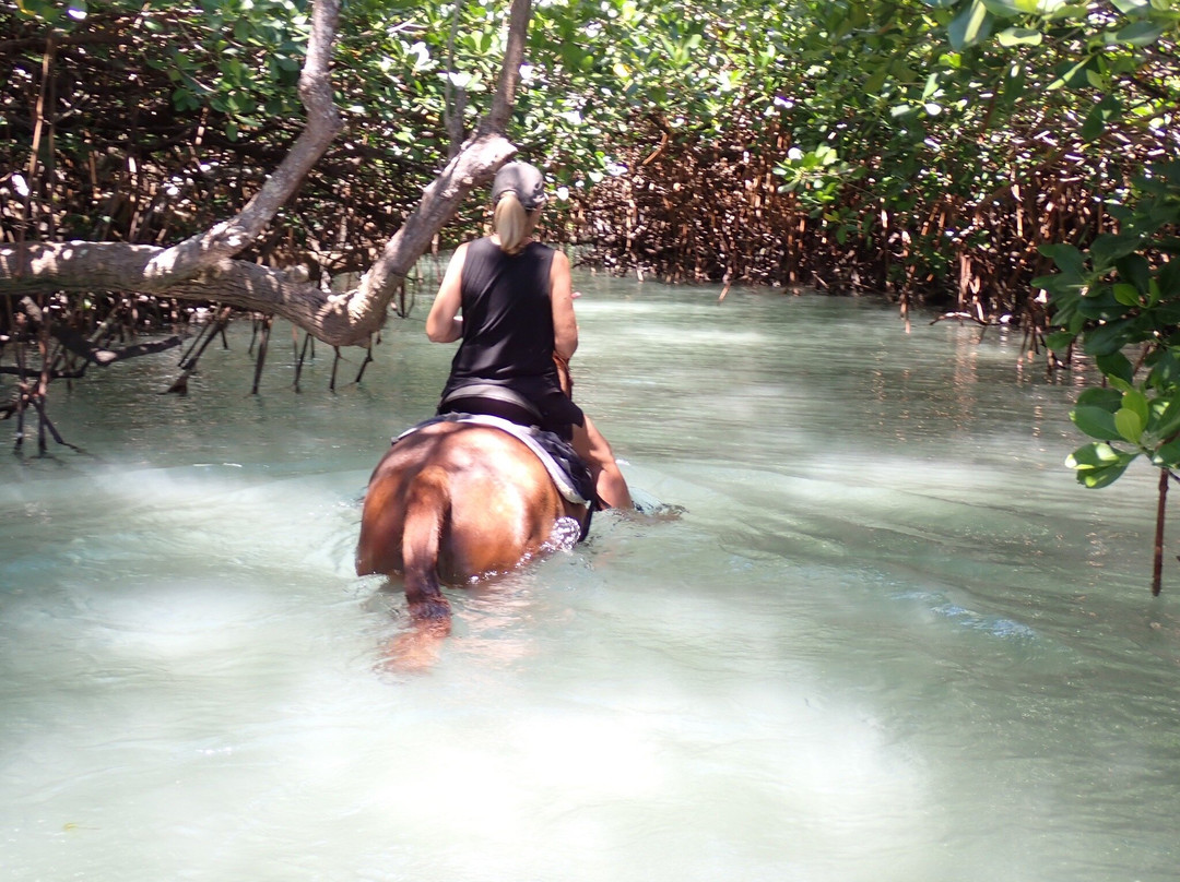 Santo Horse Adventures景点图片