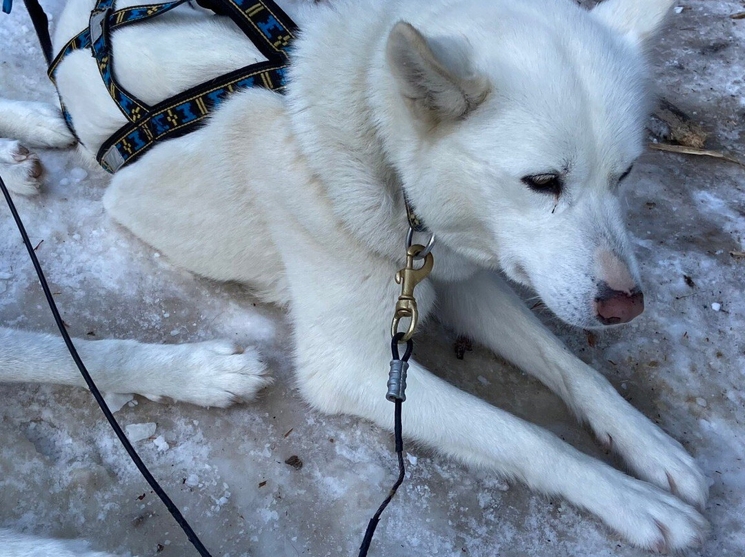 Kananaskis Outfitters-卡那那斯基斯必去景点