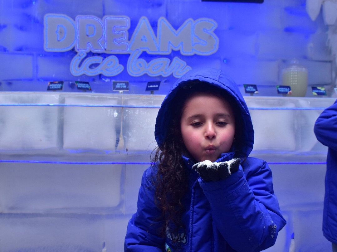 Dreams Ice Bar-伊瓜苏必去景点