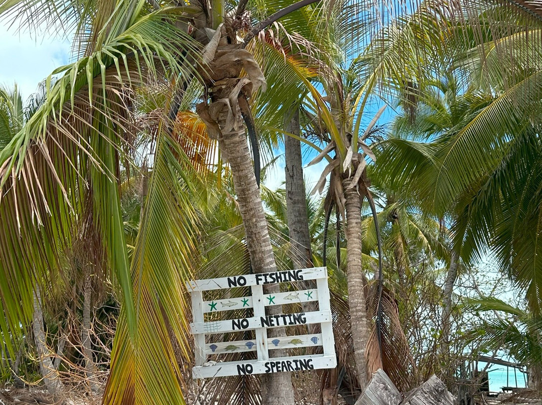 Scout Park-West Island必去景点