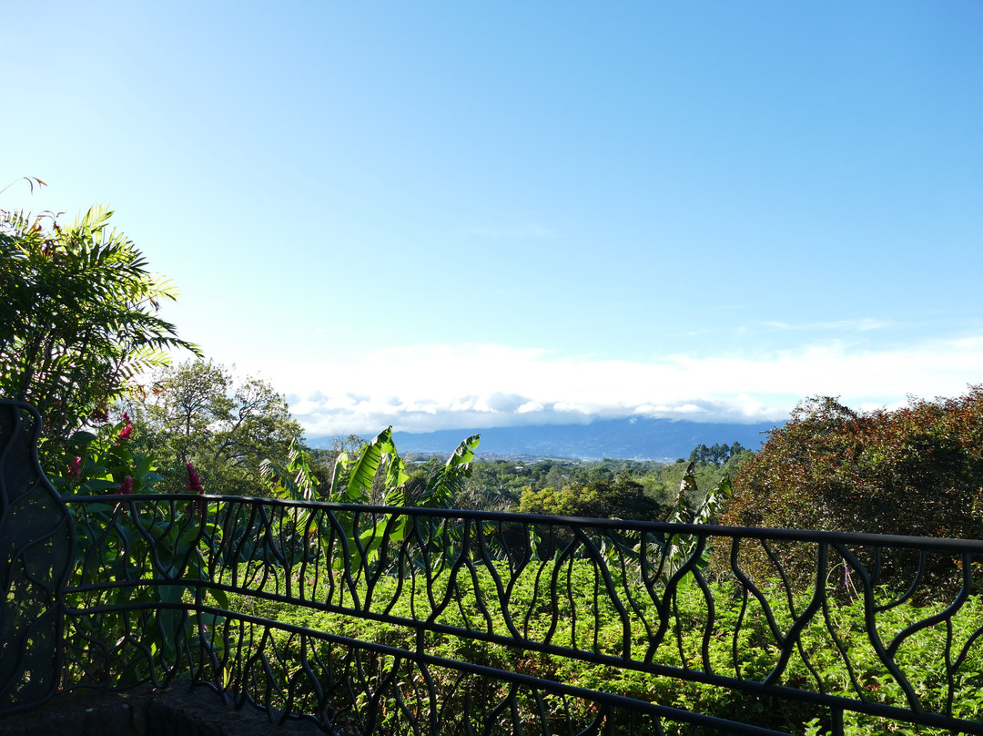 芬卡罗莎布兰卡咖啡种植园及酒店主图