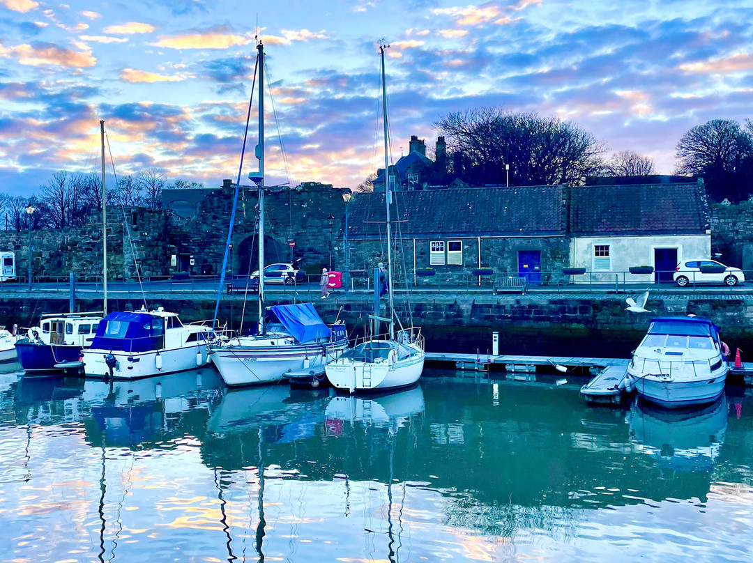 St Andrews Harbour Trust-圣安德鲁斯必去景点