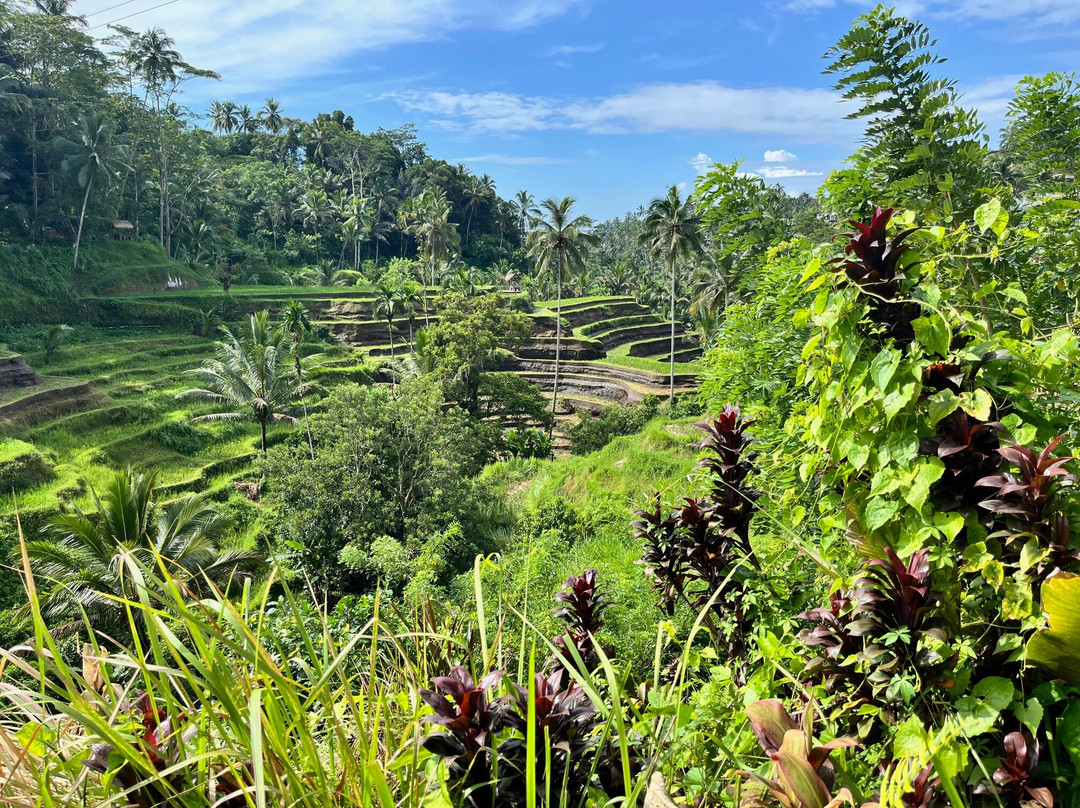 Exo Travel Indonesia-沙努尔必去景点