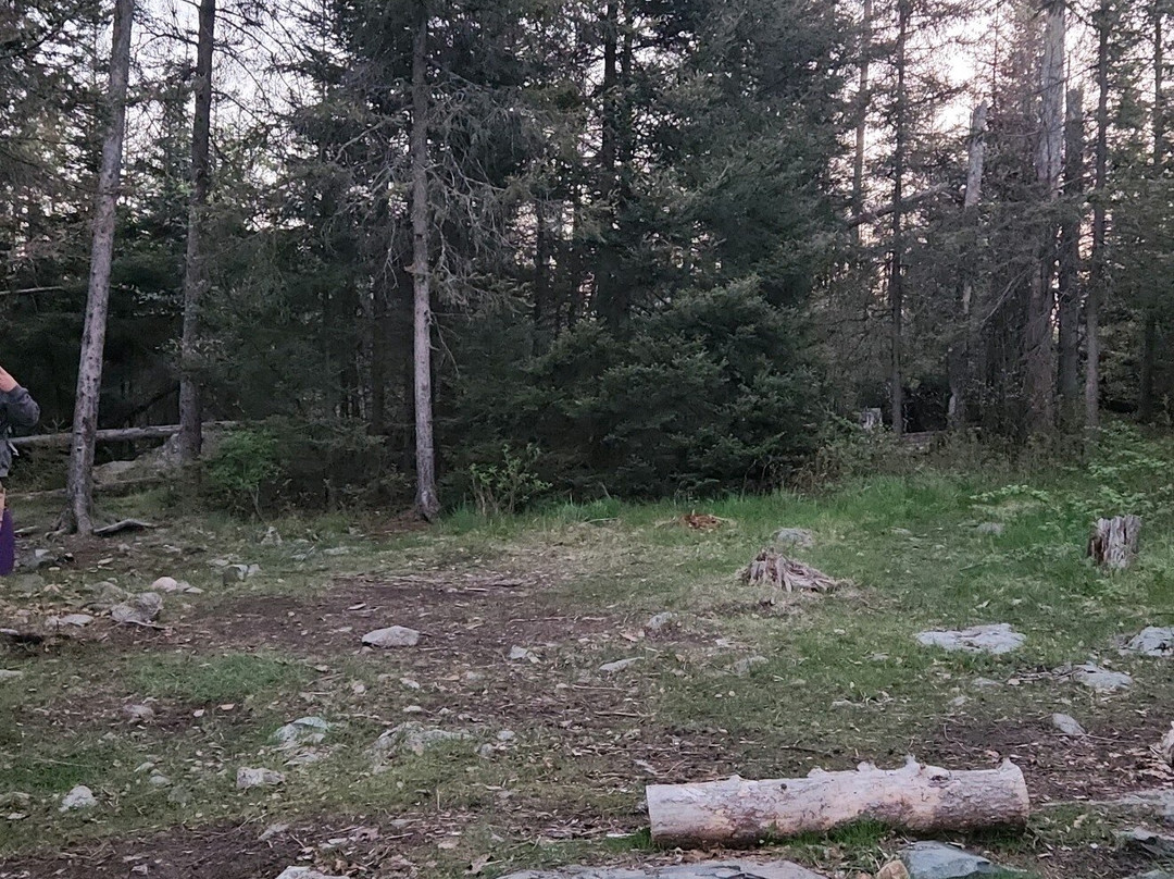 Piragis Northwoods Company-伊利必去景点