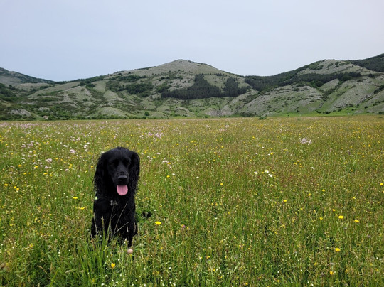 Lago di Rascino-Fiamignano必去景点