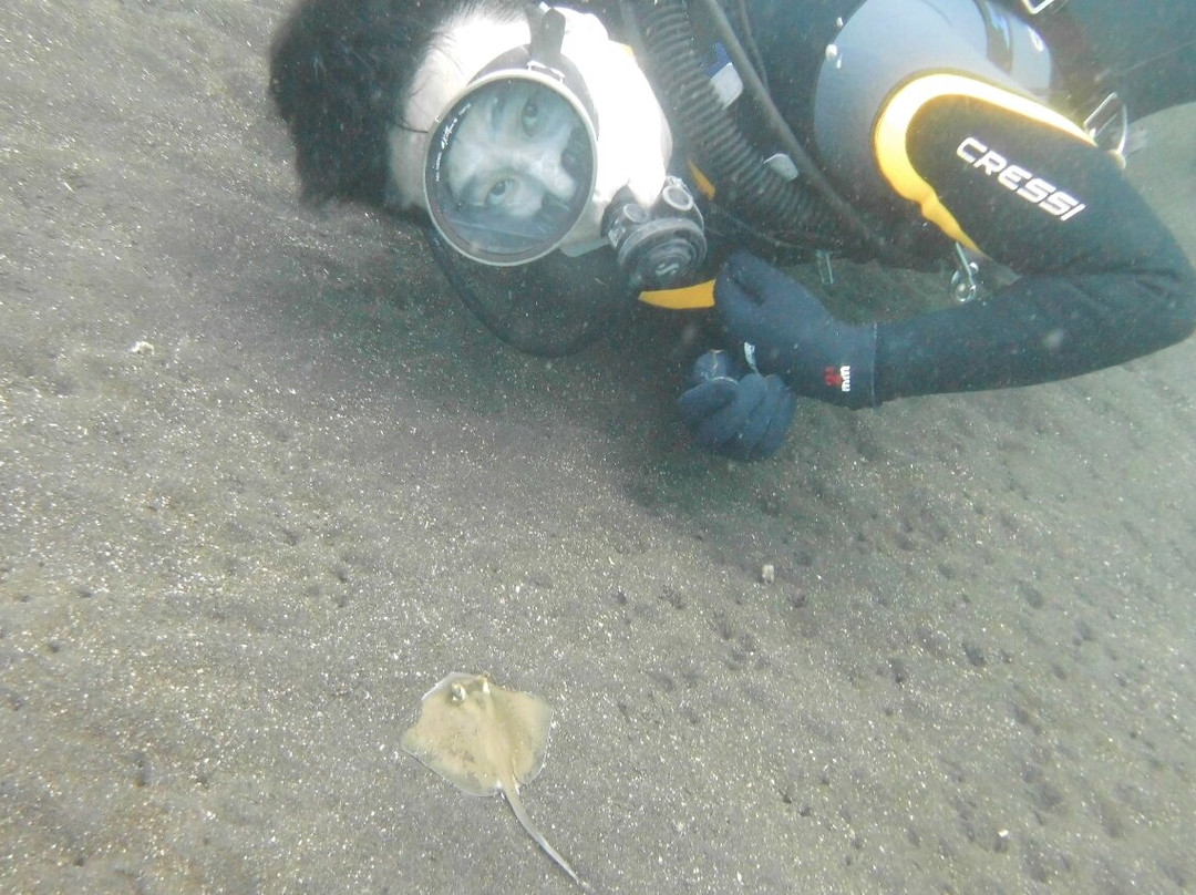 巴厘岛阿尔巴潜水度假村别墅主图