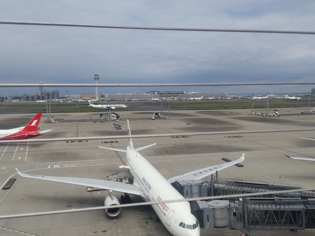 Haneda Airport Garden-大田区必去景点