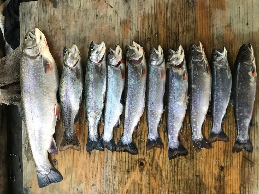 Auberge La Glaciere主图