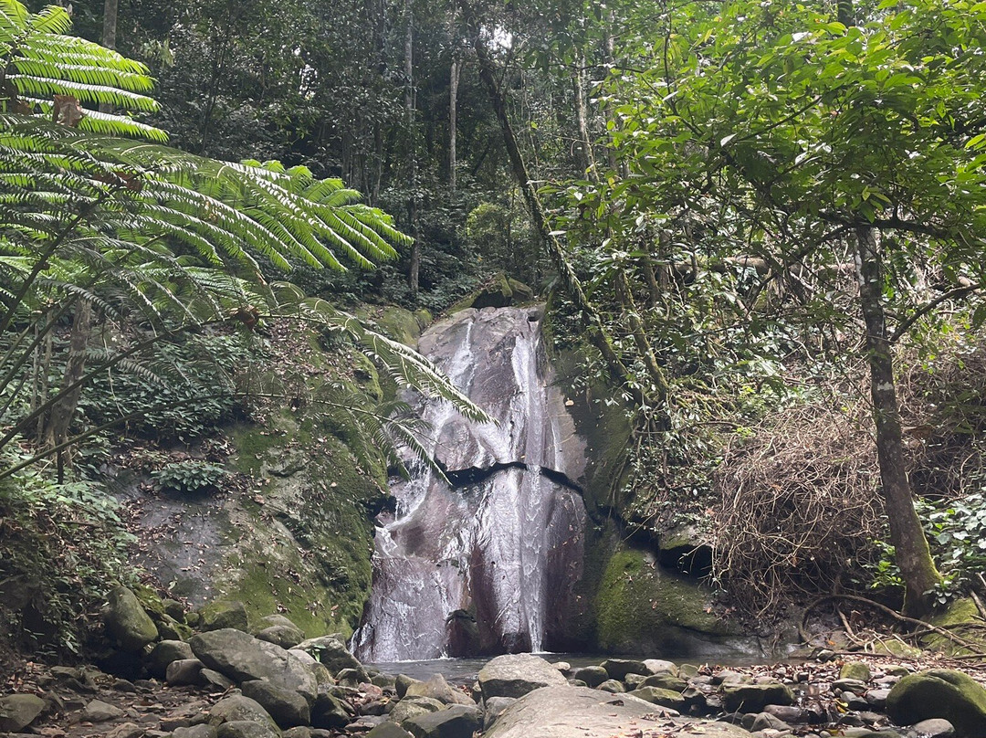 Poring Hot Spring and Nature Reserve-Poring必去景点