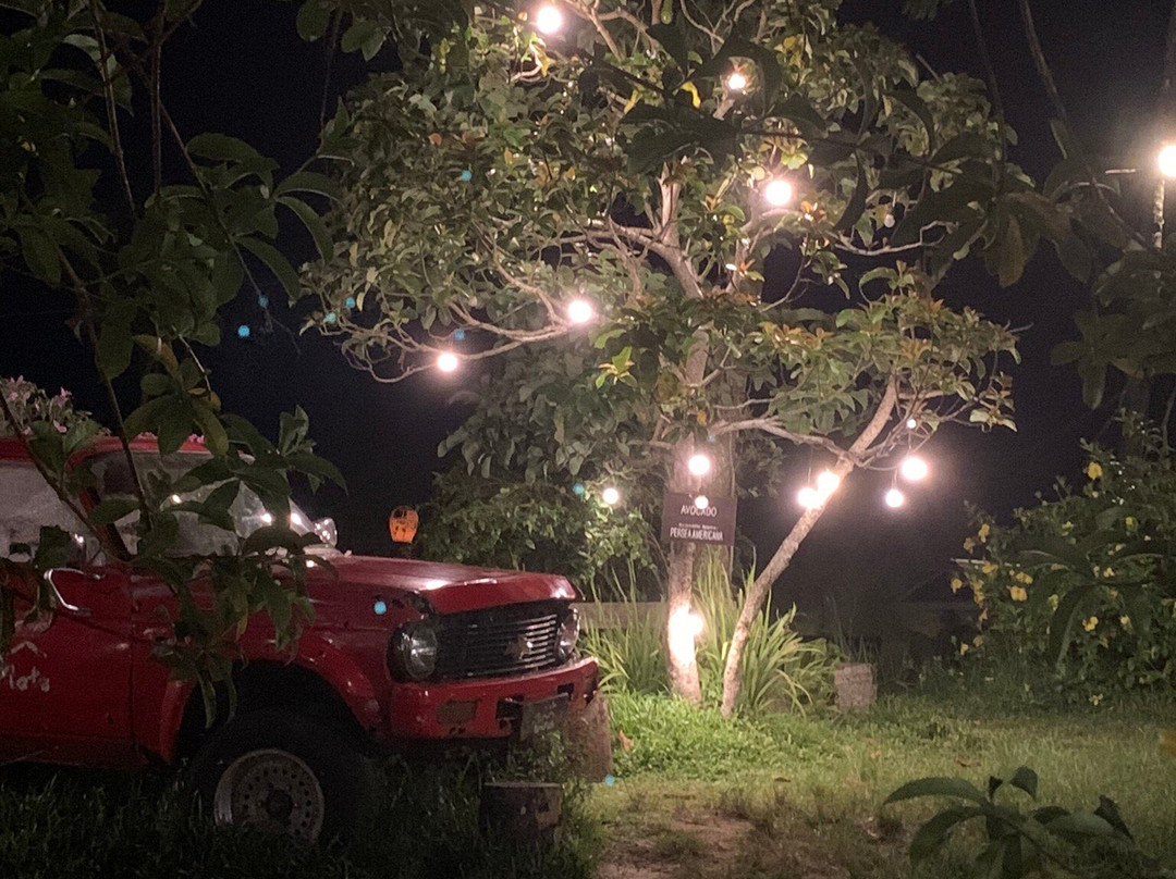 FarmPlate-Daraga必去景点