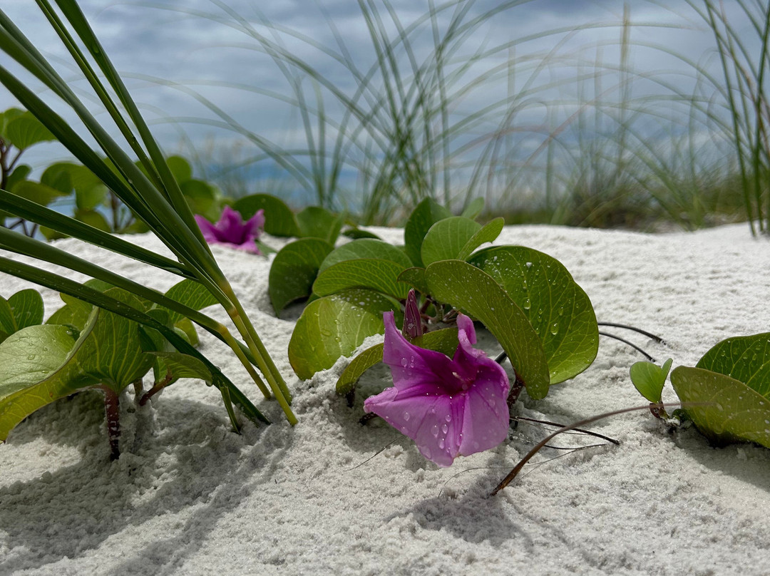 Crooked Island-Crooked Island必去景点