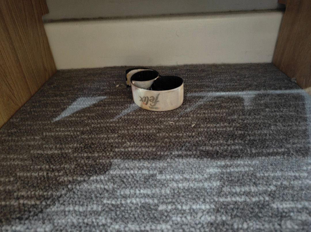 快捷假日伦敦斯坦斯特德酒店主图