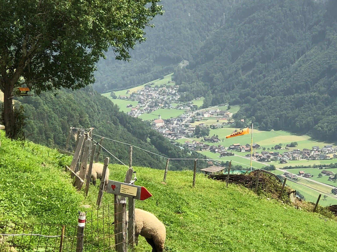 Seilbahn Bielen