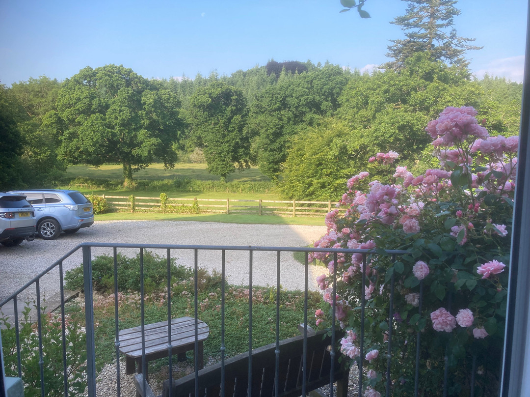 Meadowland Farm B&B and Shepherd's Hut主图