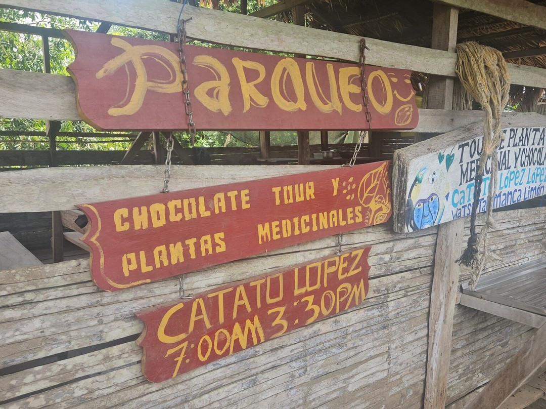 Caribe Fun Tours景点图片