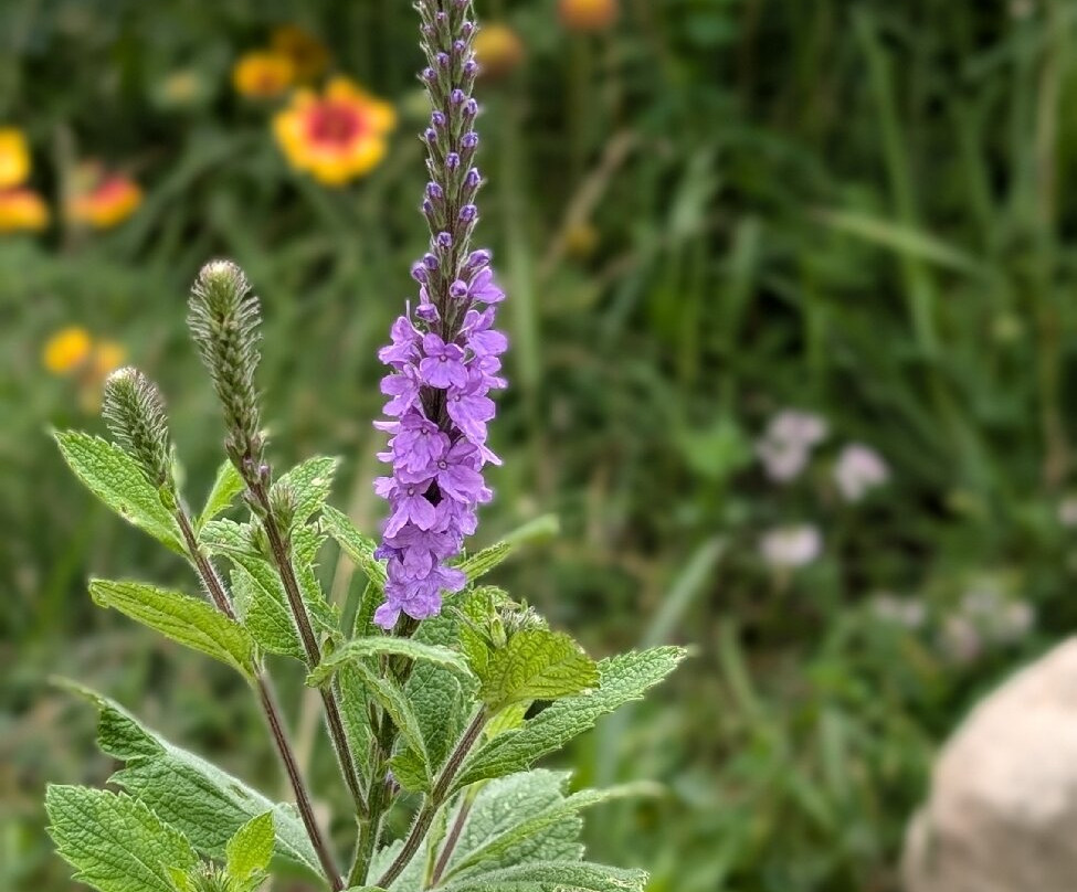 Science Museum of Minnesota-圣保罗必去景点