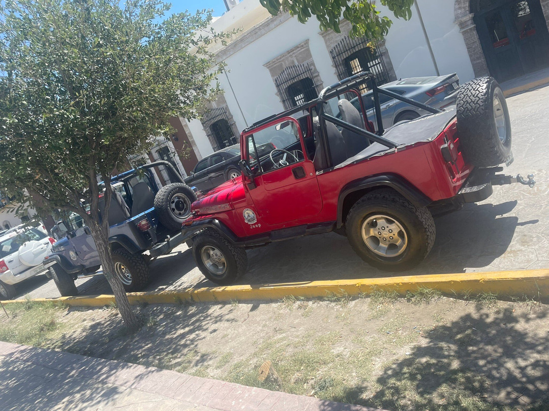 Roadrunner Coahuila Desert-Cuatro Cienegas必去景点