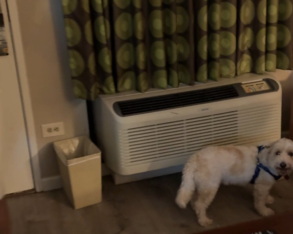 Super 8 by Wyndham Knoxville West/Farragut主图