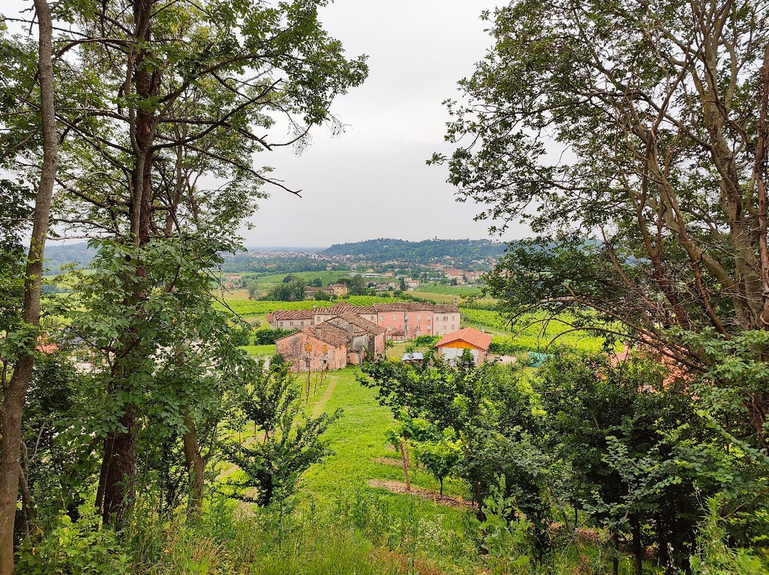 Azienda Agricola Mani Sagge景点图片