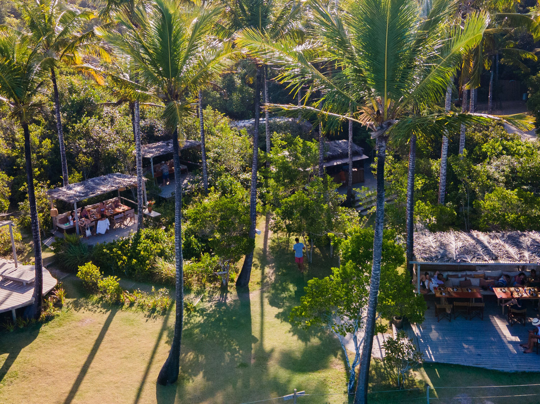 Praia Das Tartarugas