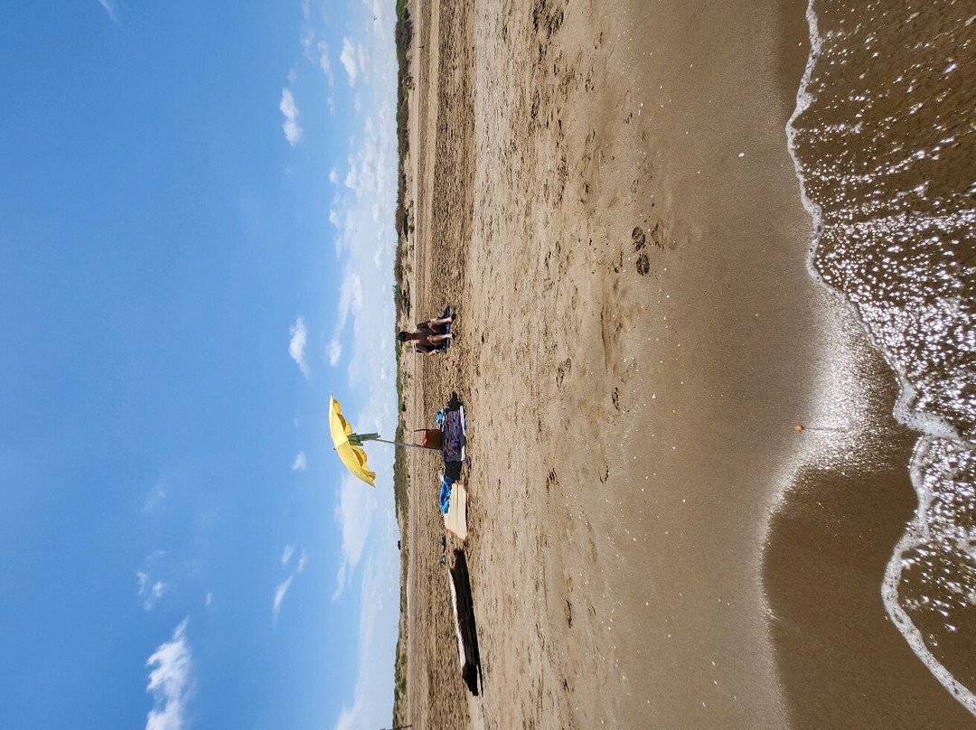 Playa La Punta del Fangar景点图片