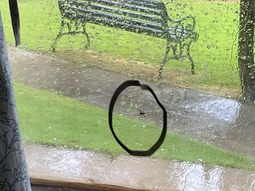 Spandan Holiday Homes主图