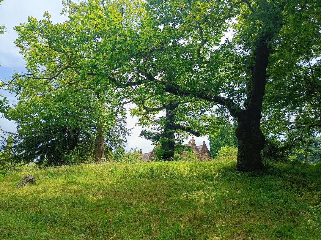 University of Bristol Botanic Garden-布里斯托尔必去景点