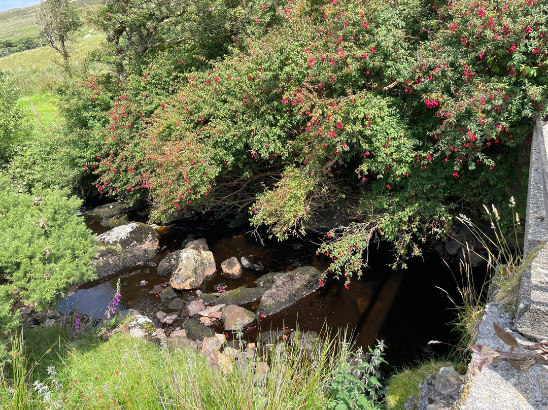 Rossan Knitwear - Glencolmcille Woollen Mill-Glencolmcille必去景点