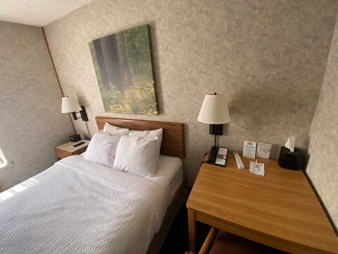 Days Inn by Wyndham Hurley主图