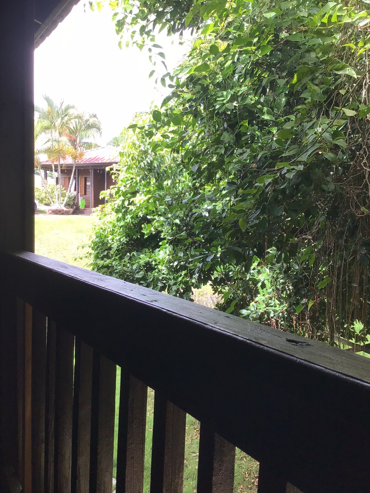 Hacienda El Jibarito-官方