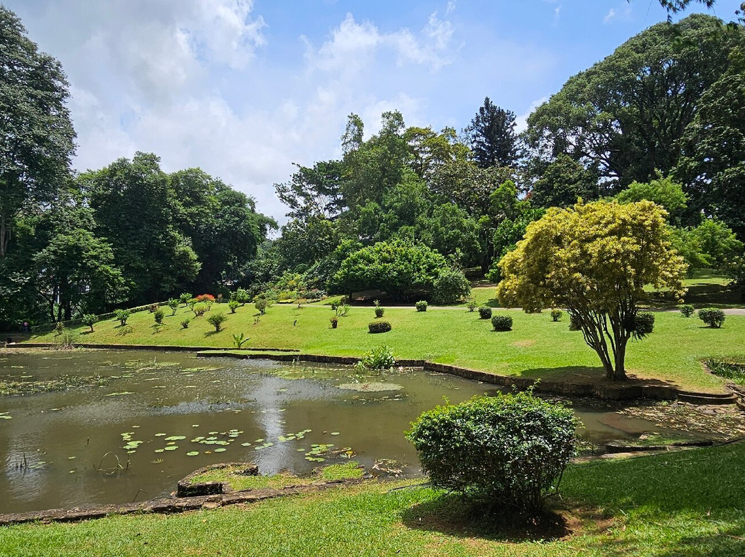 Sri lanka Ok Tours-康提必去景点