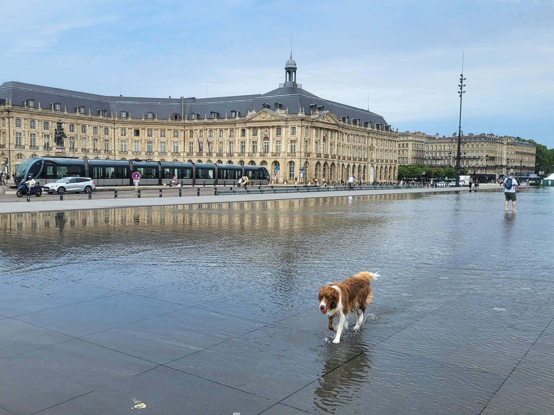 Tours by Marylène-波尔多必去景点