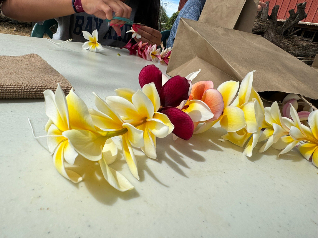 Molokai Plumerias-考纳卡卡伊必去景点