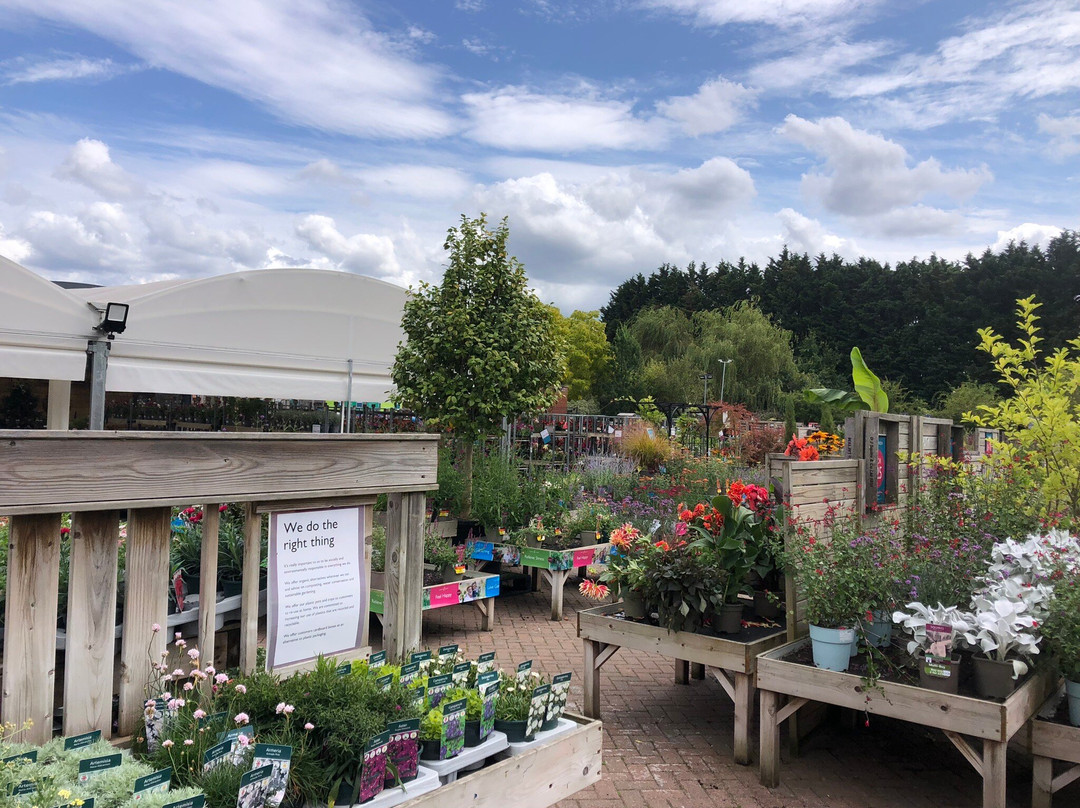 Squires Garden Centres景点图片